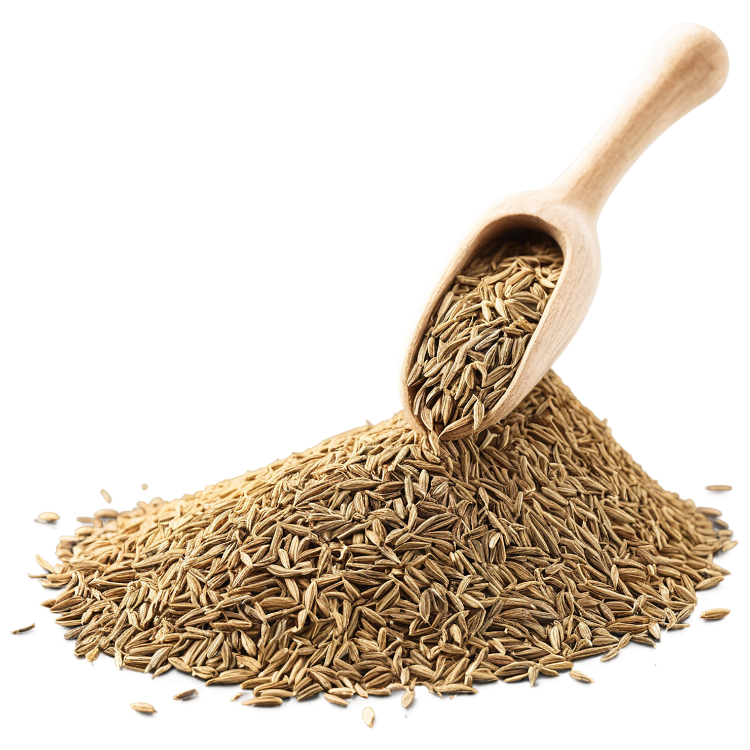Cumin Herbs isolated on transparent background, #6919