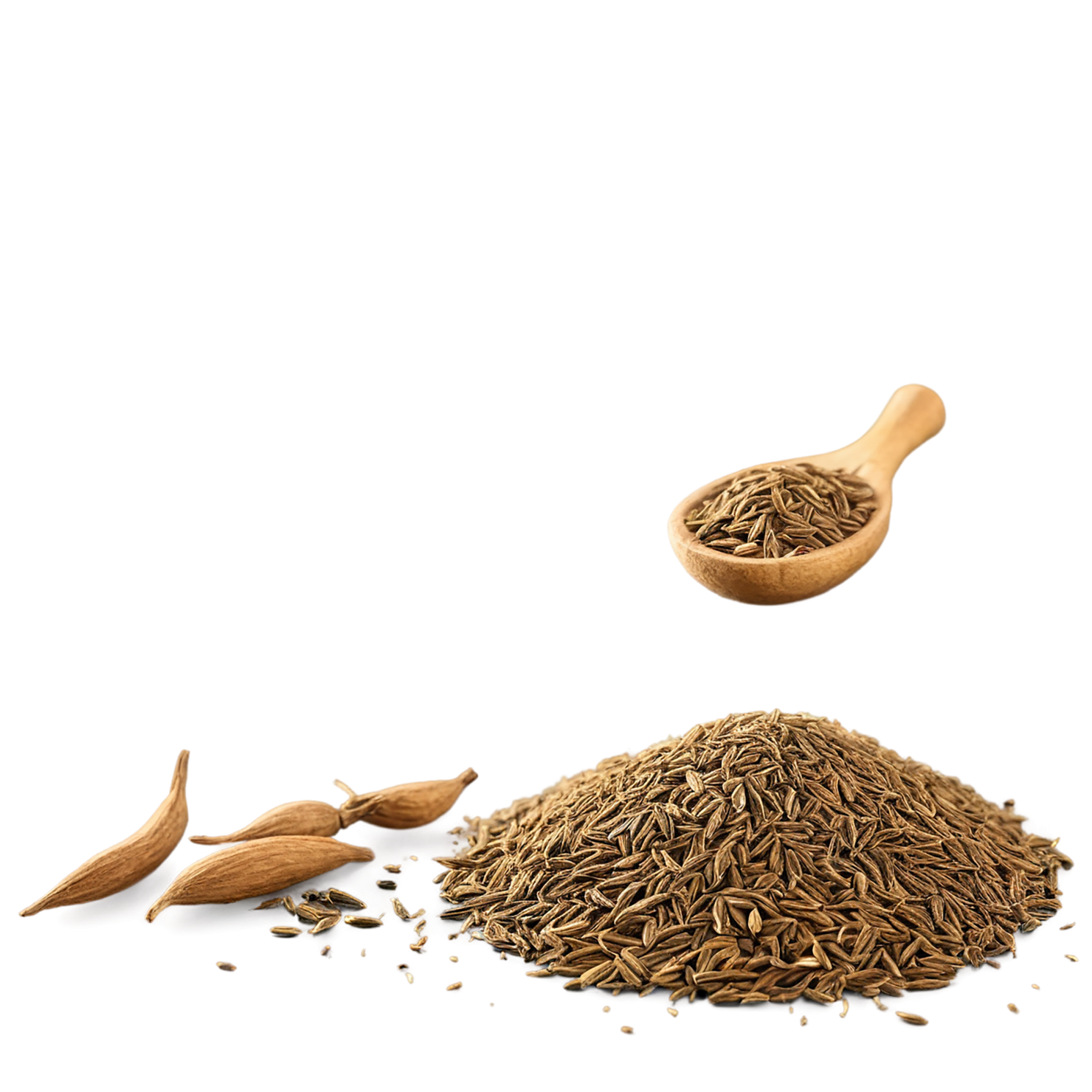 Cumin Herbs isolated on transparent background, #6920