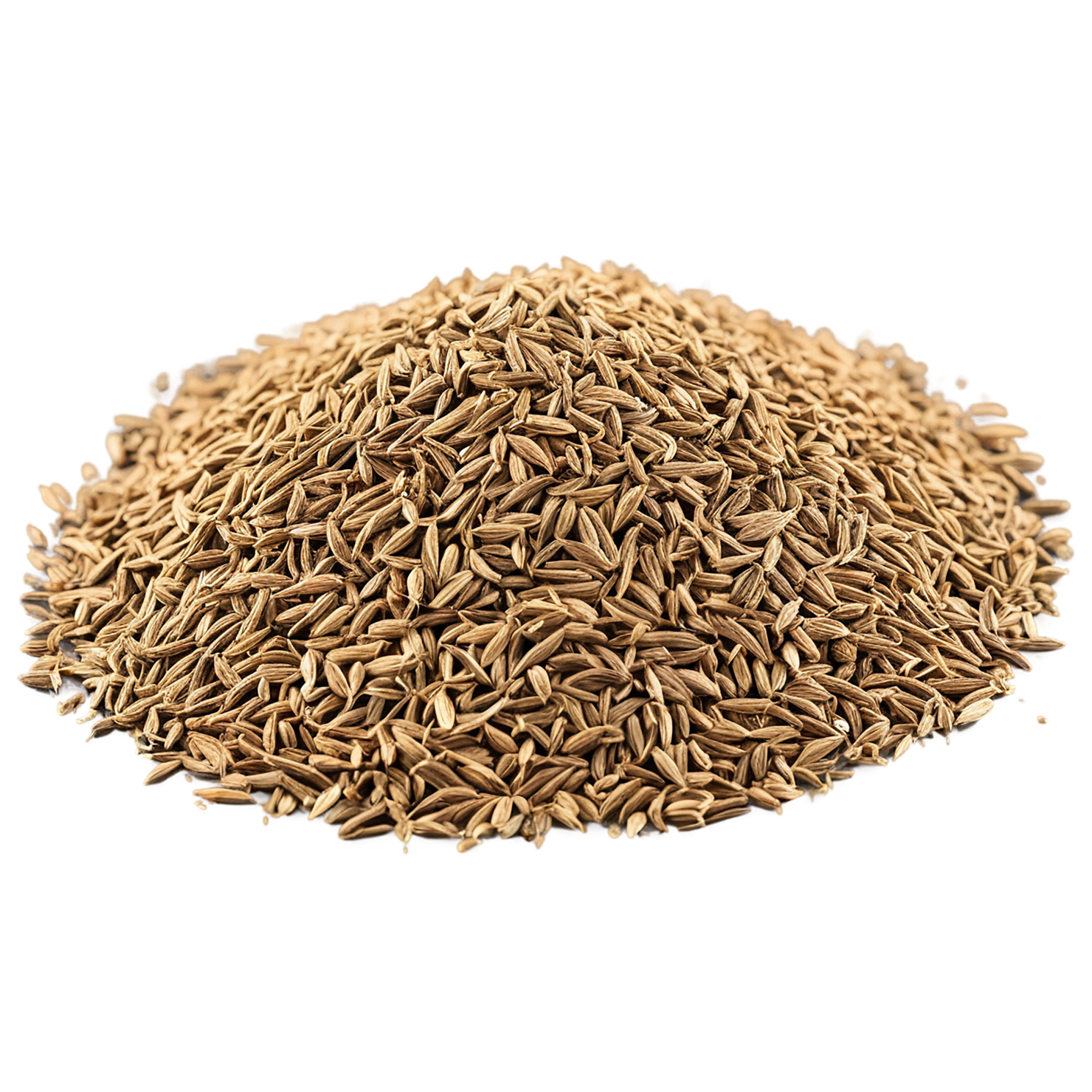 Cumin Herbs isolated on transparent background, #6921