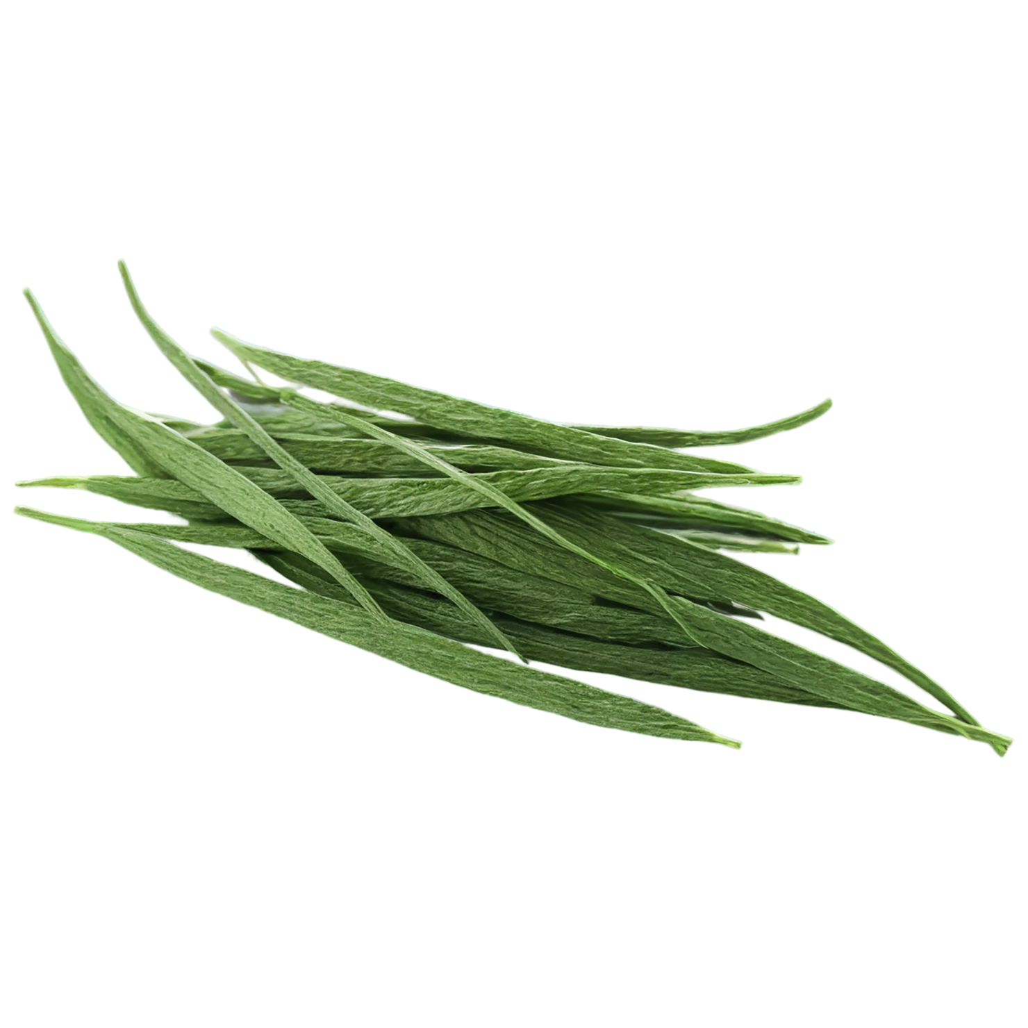 Cumin leaves Herbs isolated on transparent background, #6926