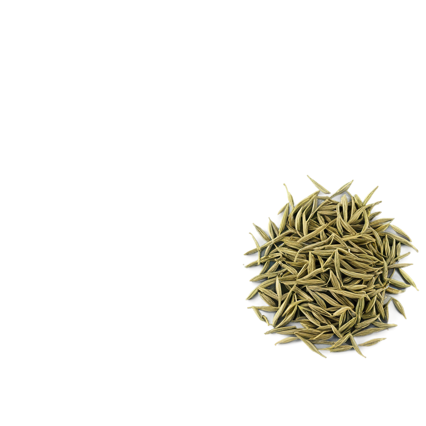 Cumin leaves Herbs isolated on transparent background, #6932