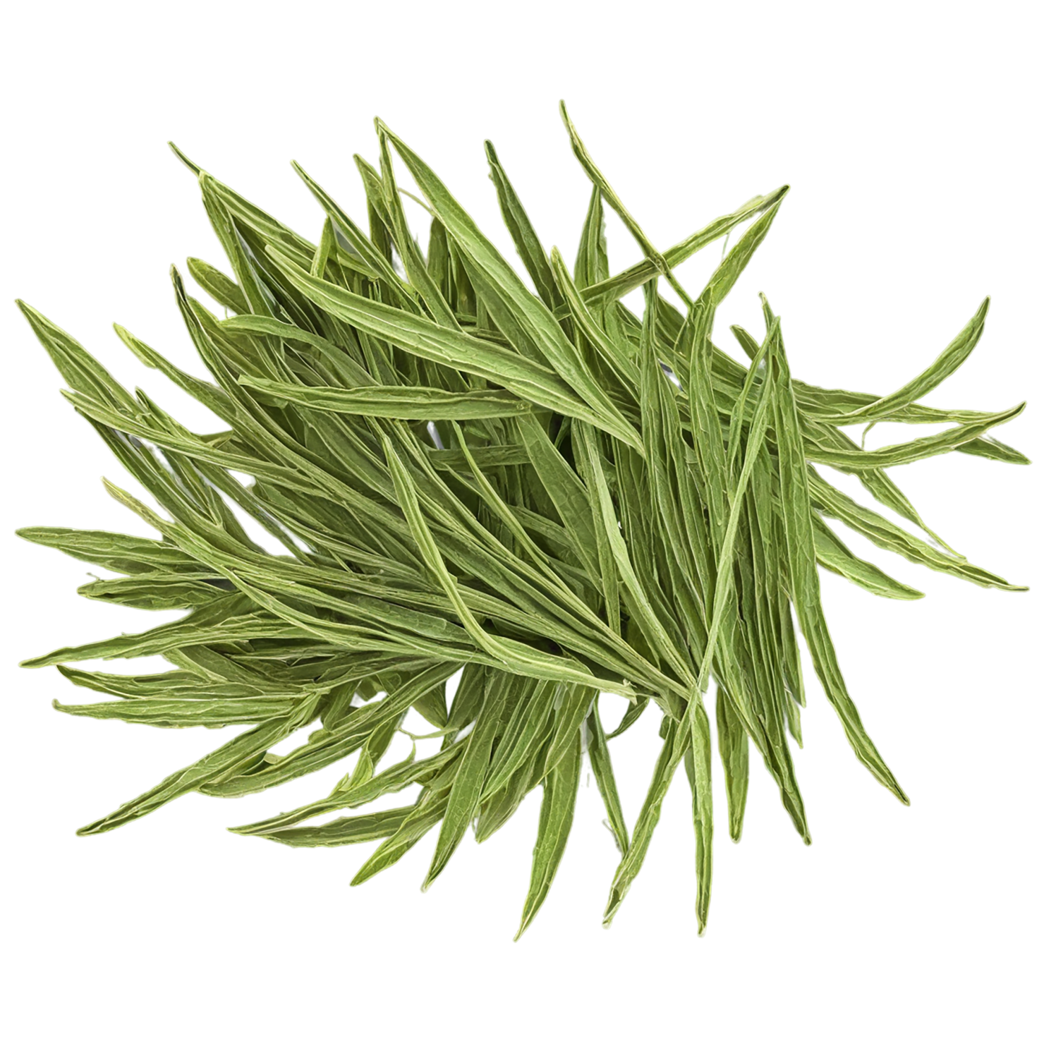 Cumin leaves Herbs isolated on transparent background, #6936