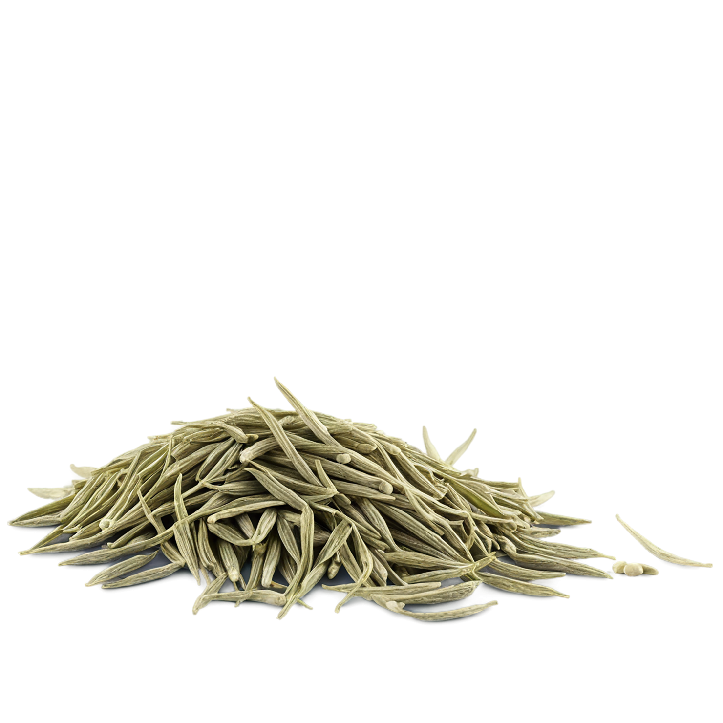 Cumin leaves Herbs isolated on transparent background, #6942