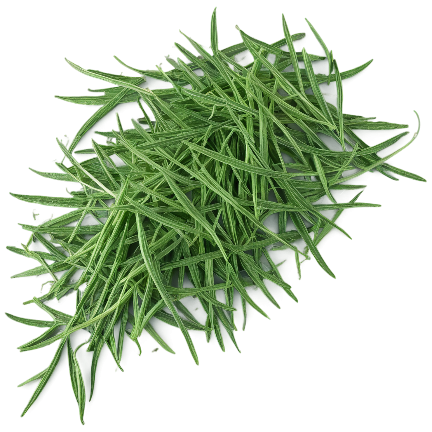 Cumin leaves Herbs isolated on transparent background, #6952