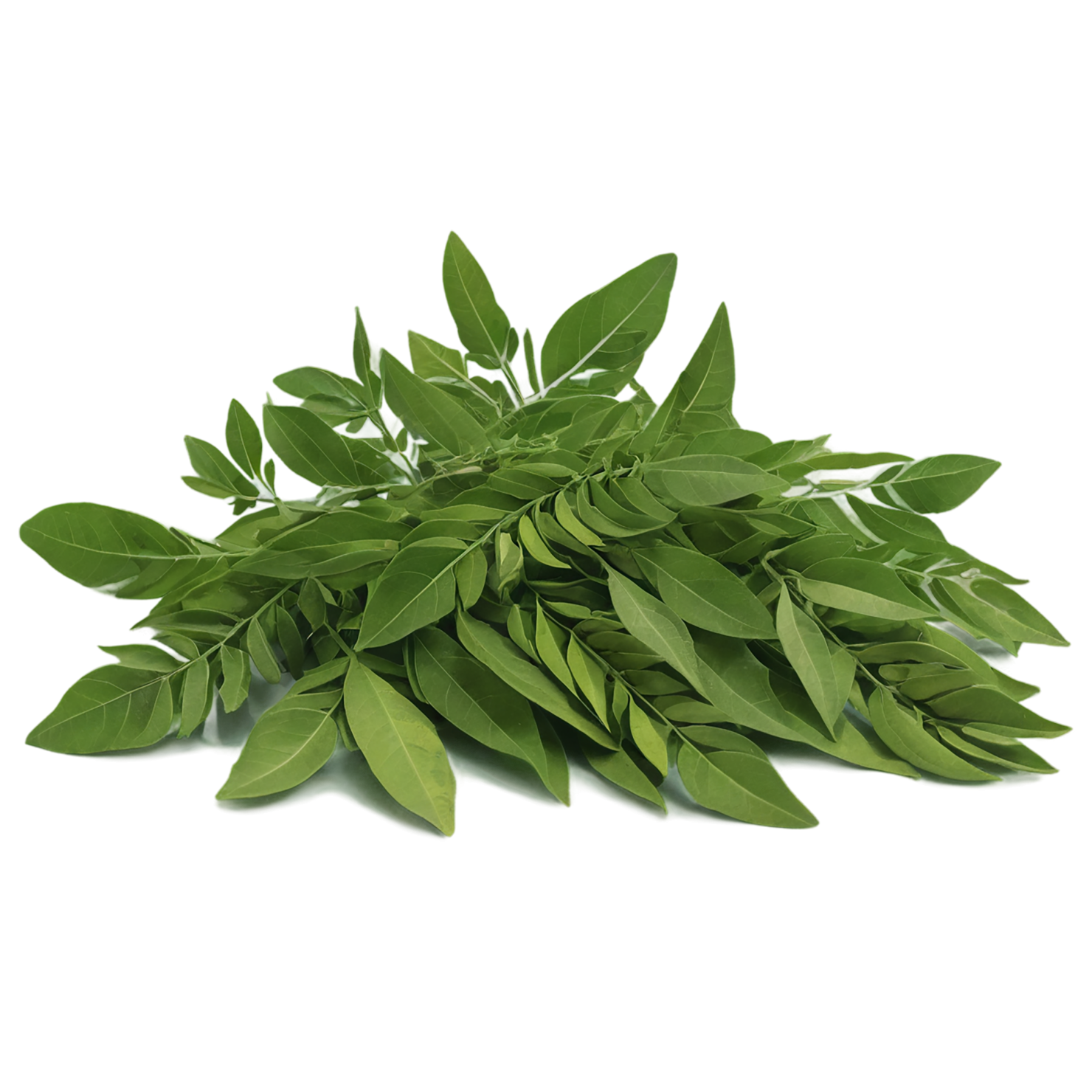 Curry leaves Herbs isolated on transparent background, #6961