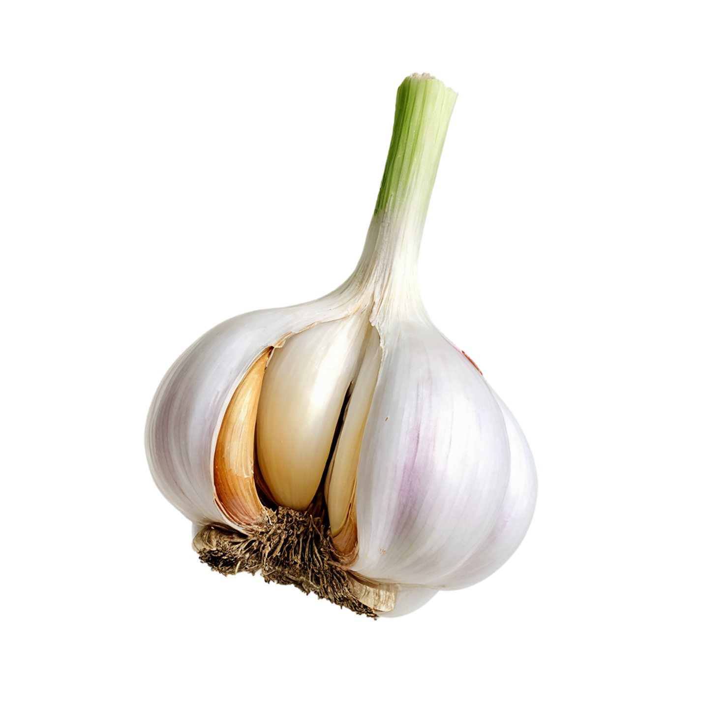 Garlic Herbs isolated on transparent background, #7044