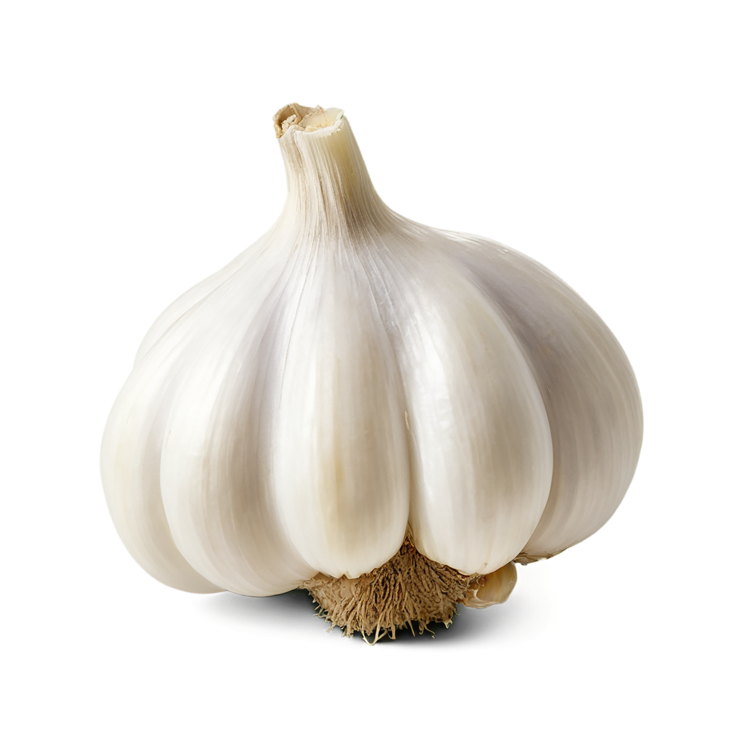 Garlic Herbs isolated on transparent background, #7049