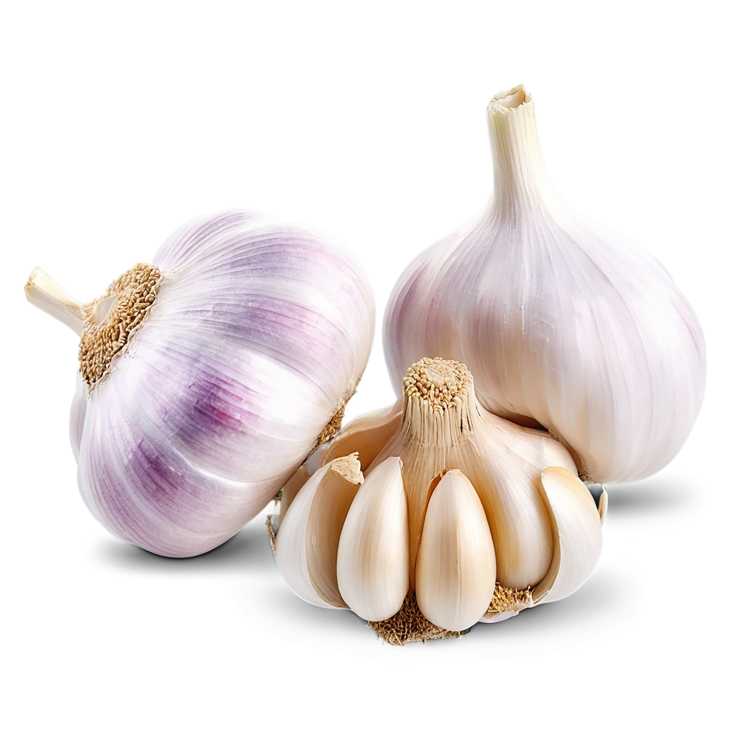Garlic Herbs isolated on transparent background, #7050