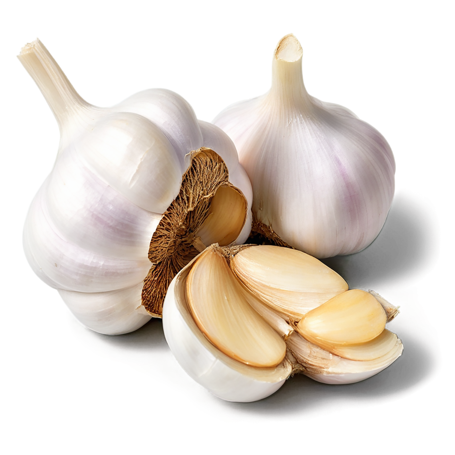 Garlic Herbs isolated on transparent background, #7055
