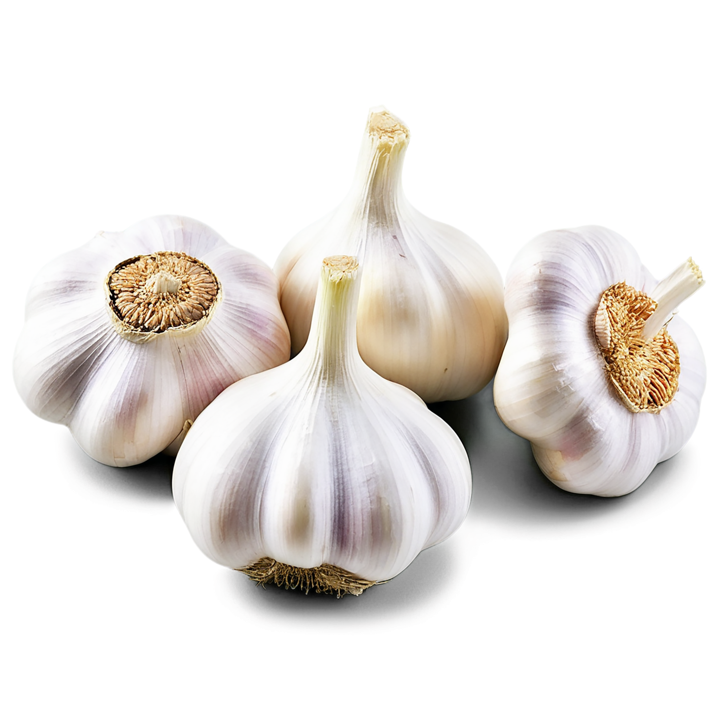 Garlic Herbs isolated on transparent background, #7060