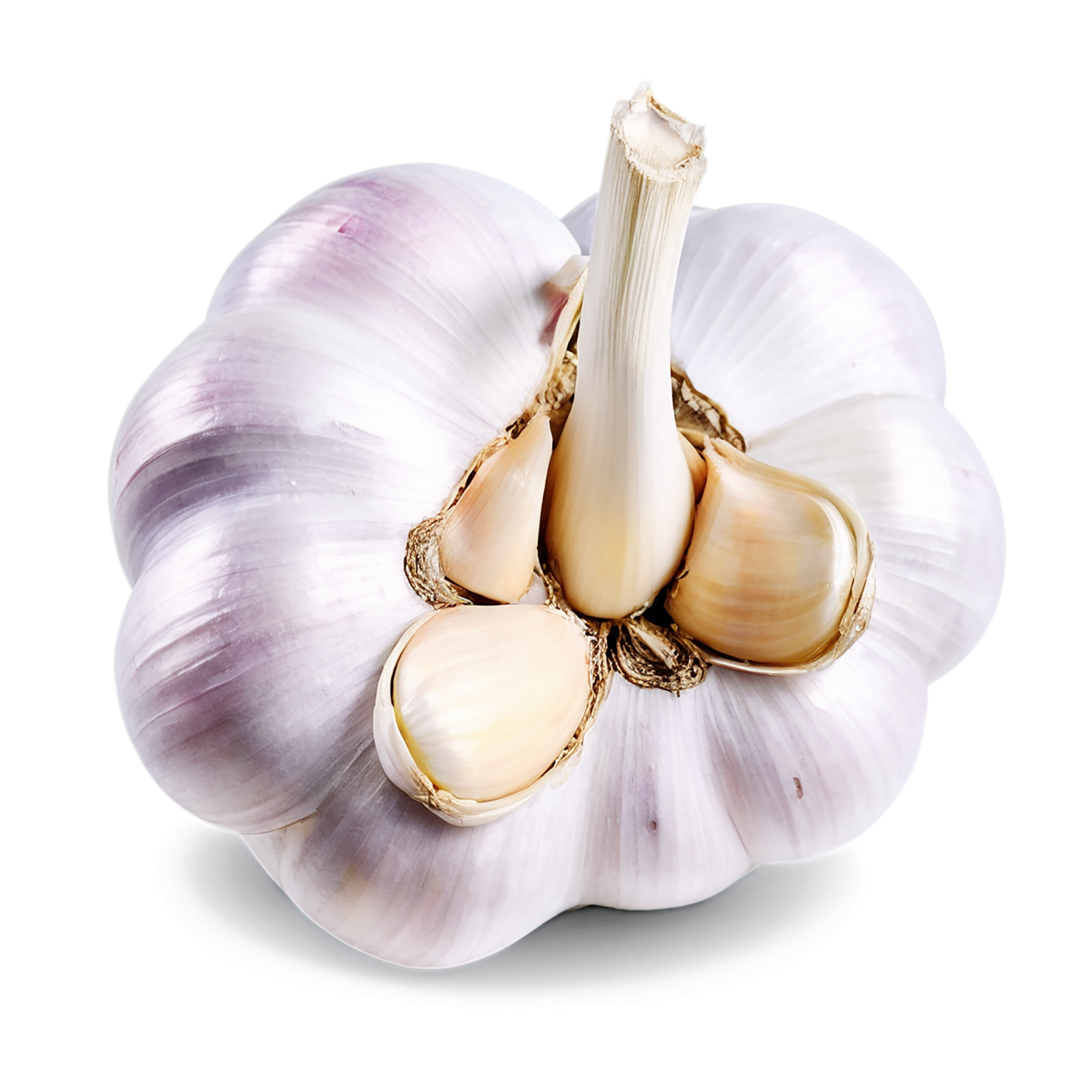 Garlic Herbs isolated on transparent background, #7062