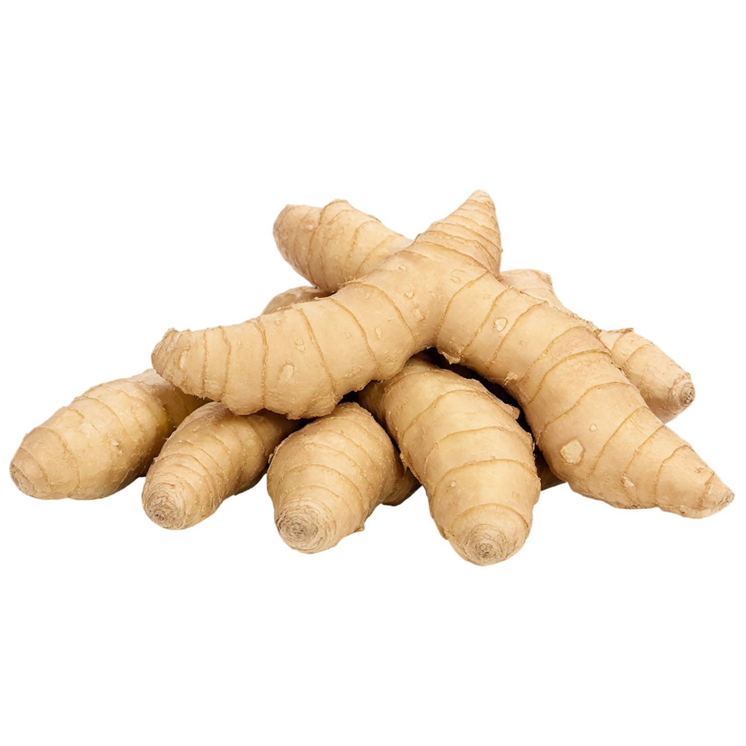 Ginger Herbs isolated on transparent background, #7077