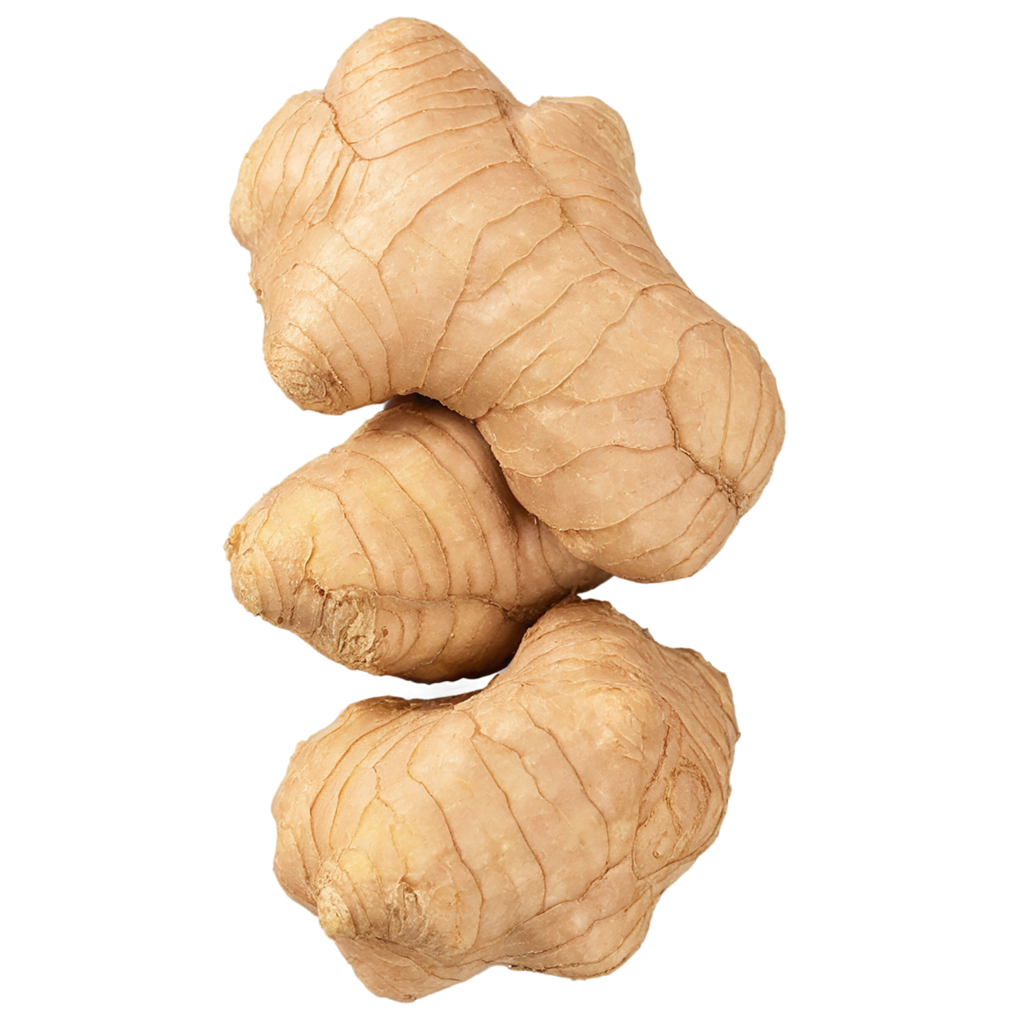 Ginger Herbs isolated on transparent background, #7079