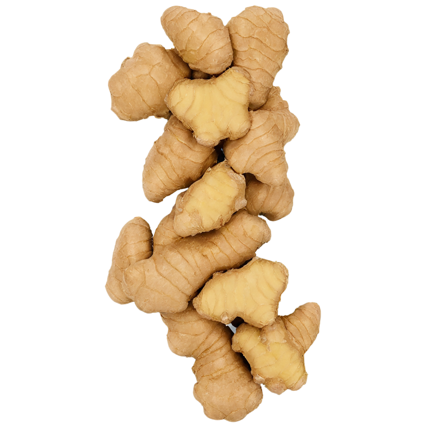 Ginger Herbs isolated on transparent background, #7086