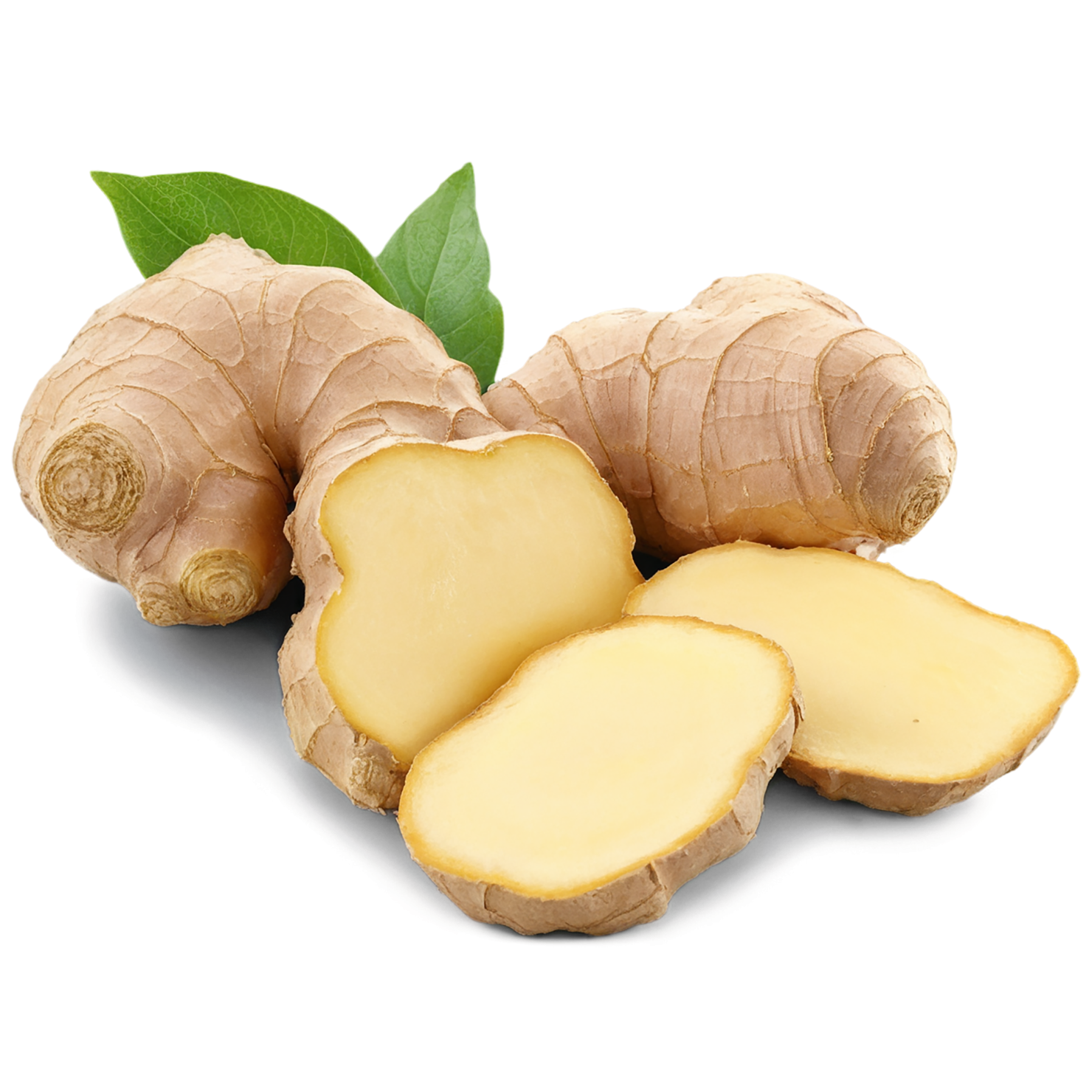 Ginger Herbs isolated on transparent background, #7088