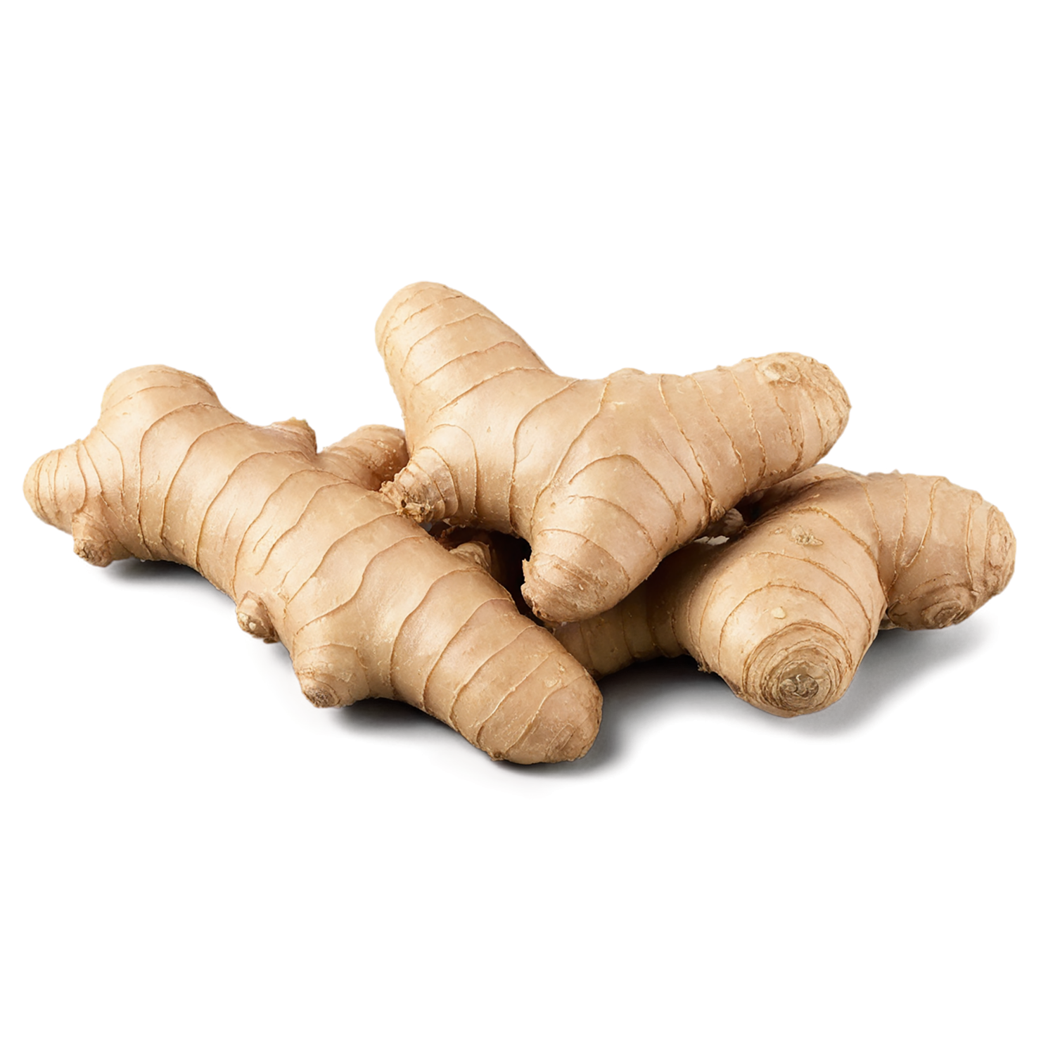 Ginger Herbs isolated on transparent background, #7089