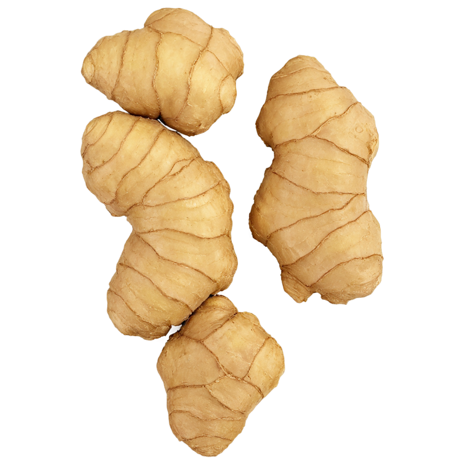 Ginger Herbs isolated on transparent background, #7091