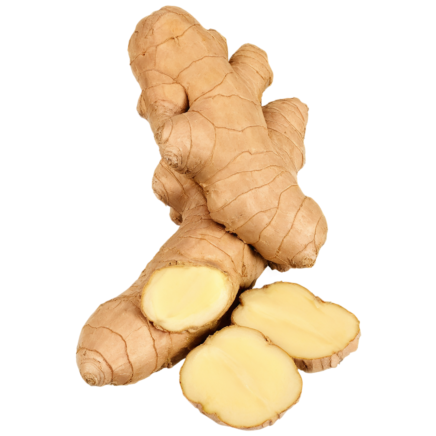 Ginger Herbs isolated on transparent background, #7092