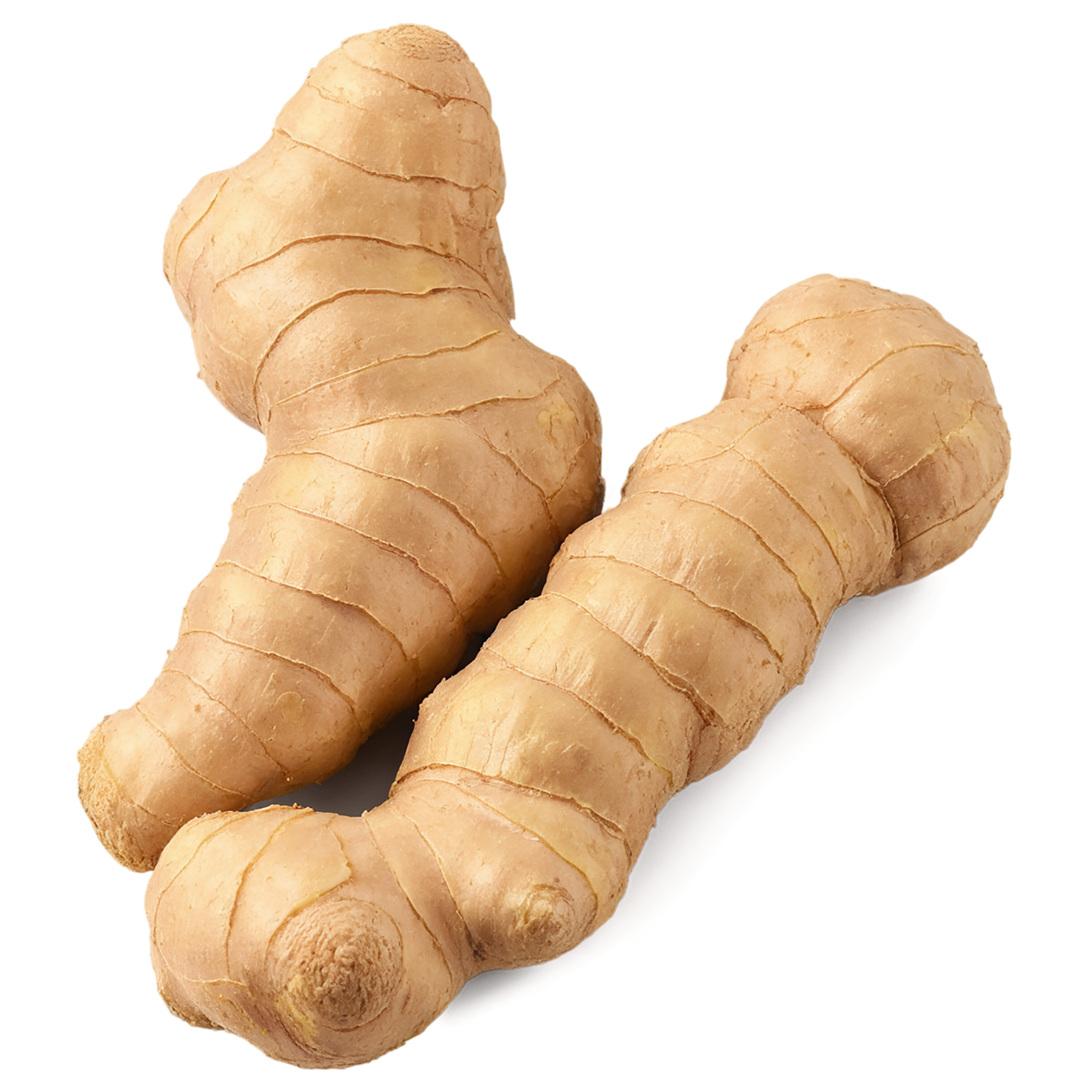 Ginger Herbs isolated on transparent background, #7096