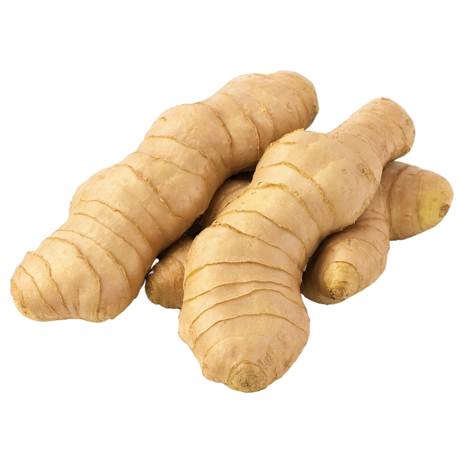 Ginger Herbs isolated on transparent background, #7102