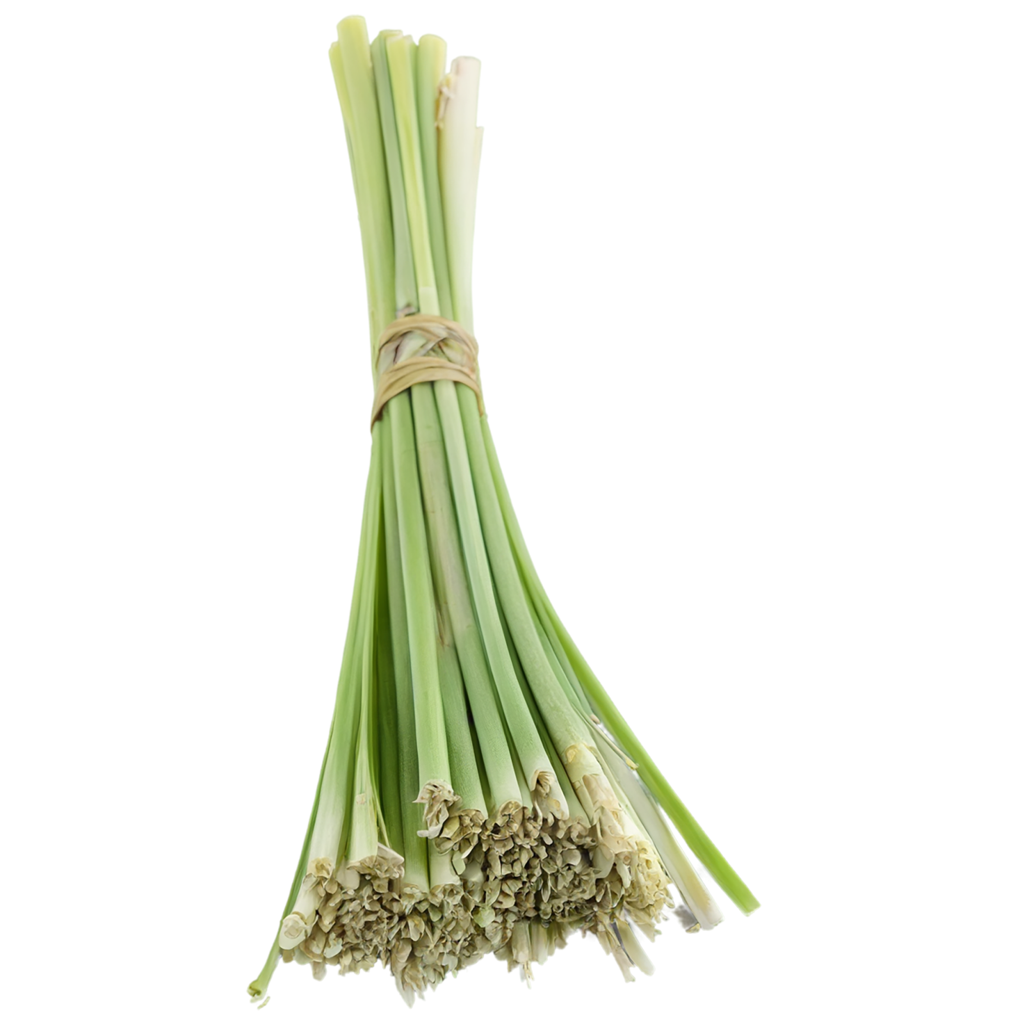 Lemongrass Herbs isolated on transparent background, #7136