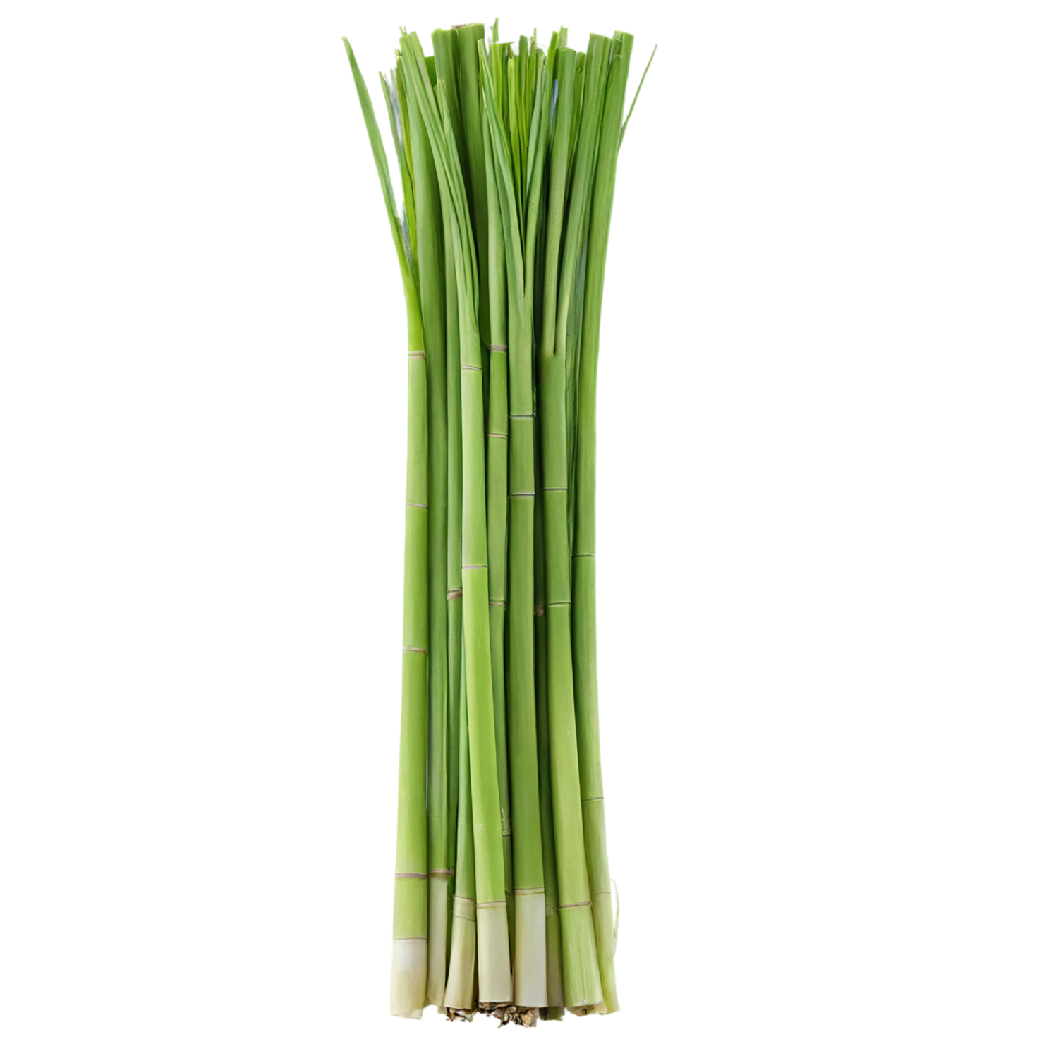 Lemongrass Herbs isolated on transparent background, #7138