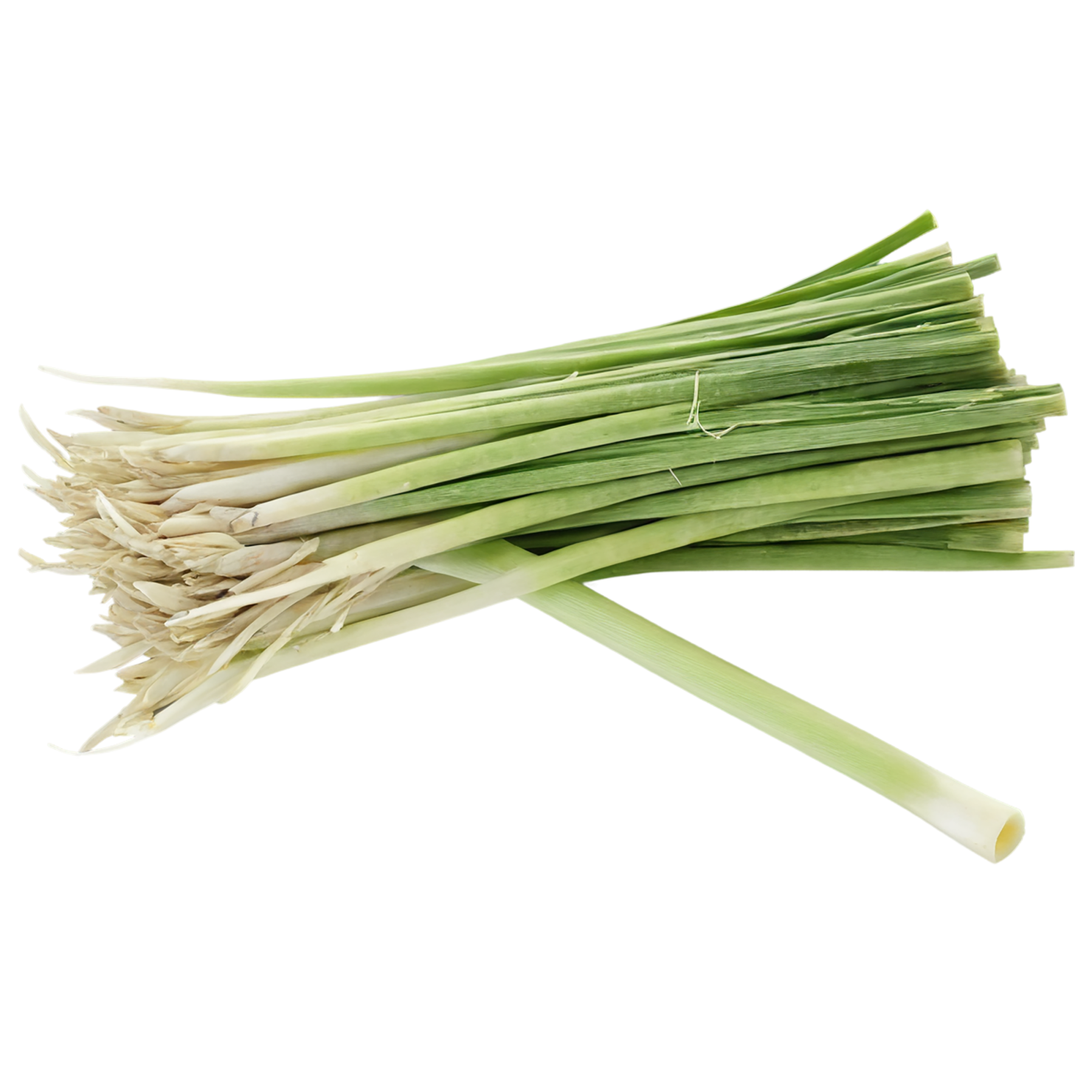 Lemongrass Herbs isolated on transparent background, #7141