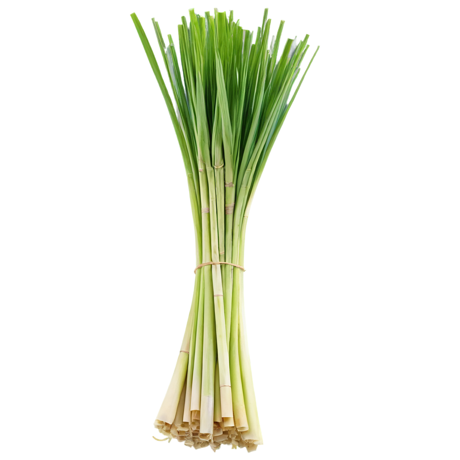 Lemongrass Herbs isolated on transparent background, #7142