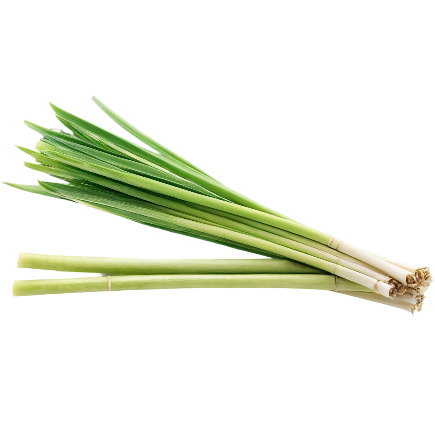 Lemongrass Herbs isolated on transparent background, #7147