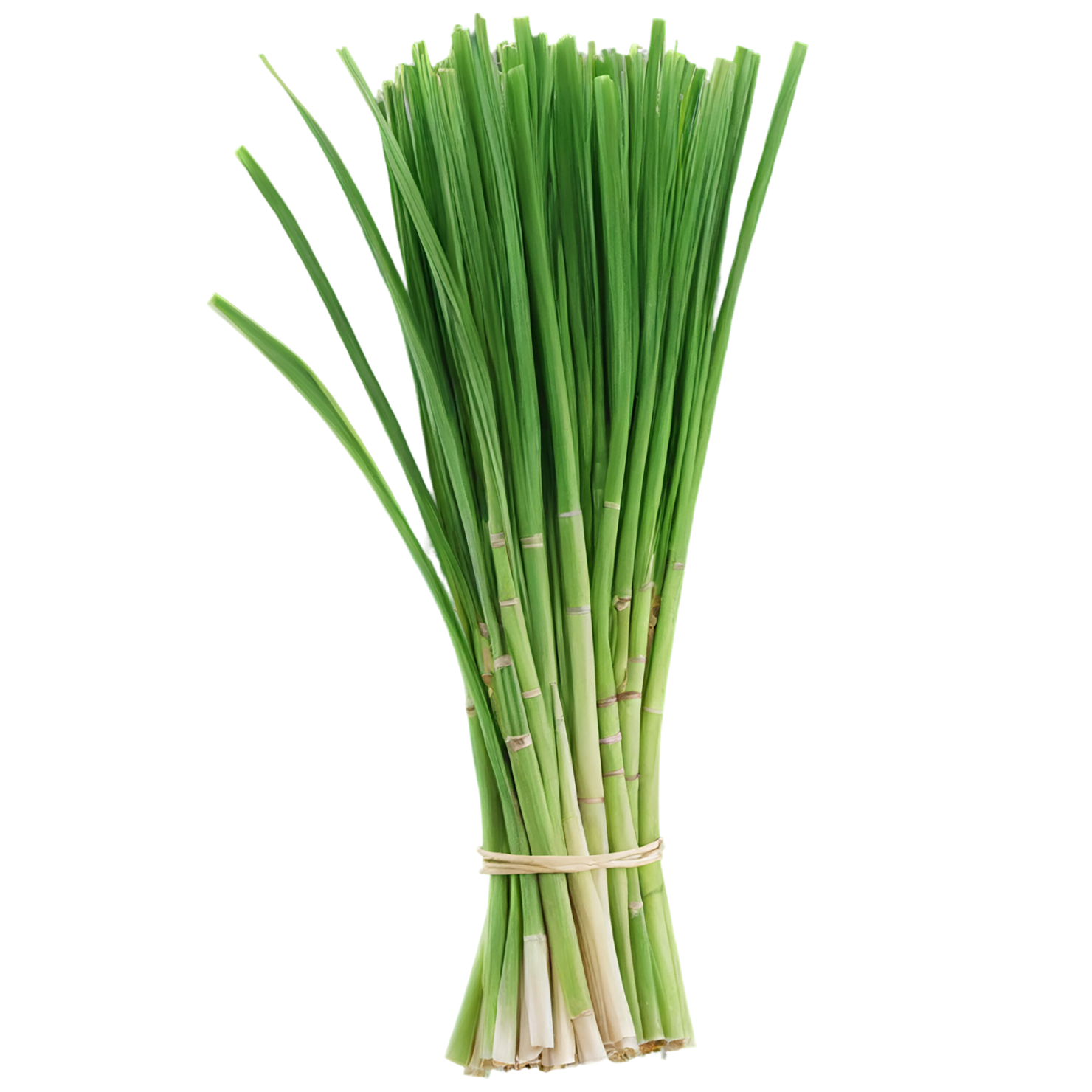 Lemongrass Herbs isolated on transparent background, #7148