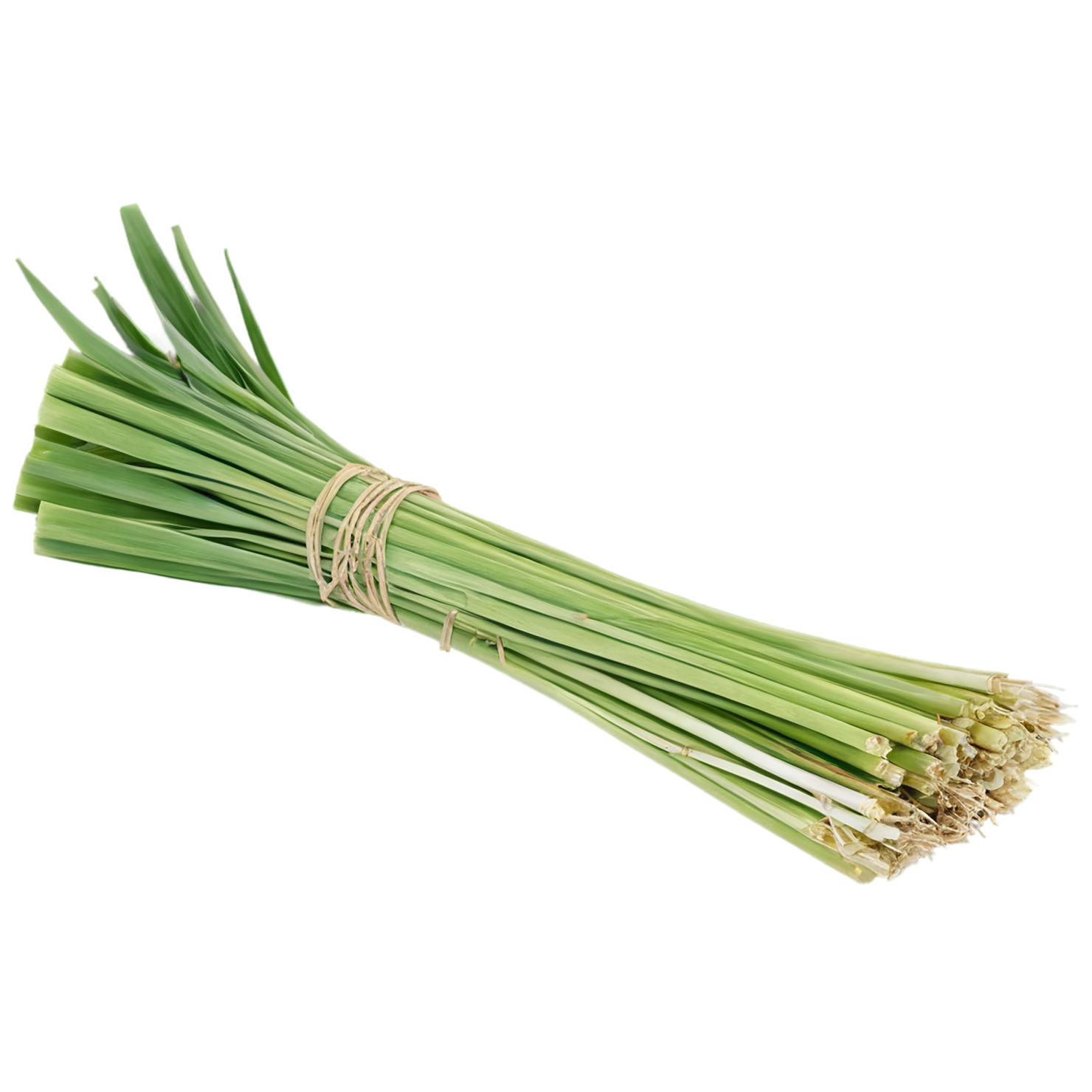 Lemongrass Herbs isolated on transparent background, #7150