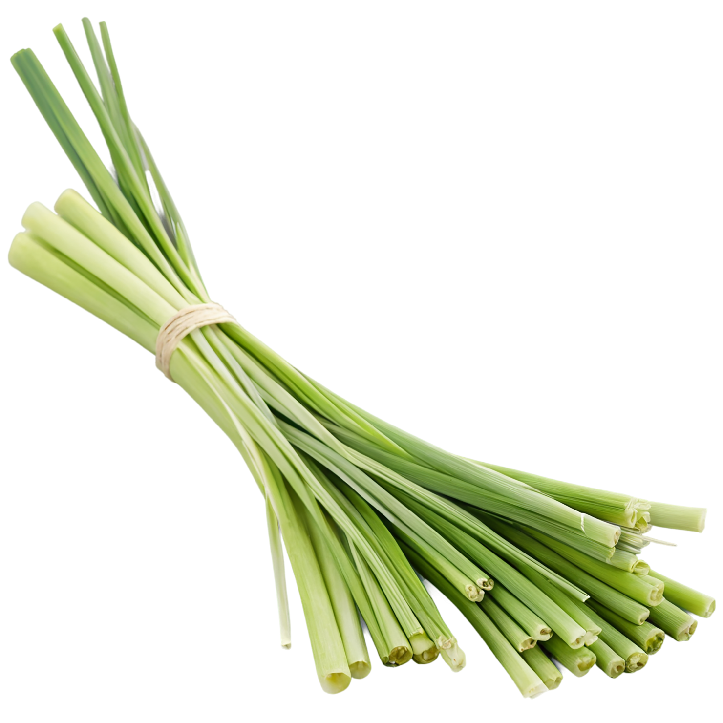 Lemongrass Herbs isolated on transparent background, #7152