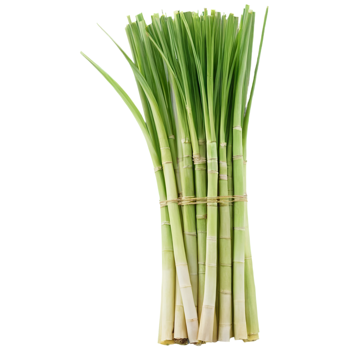 Lemongrass Herbs isolated on transparent background, #7153