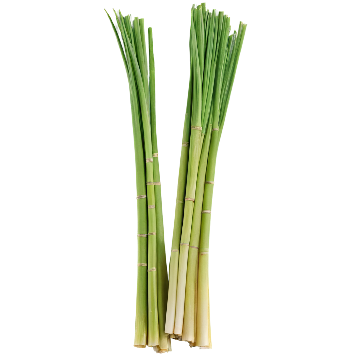 Lemongrass Herbs isolated on transparent background, #7154