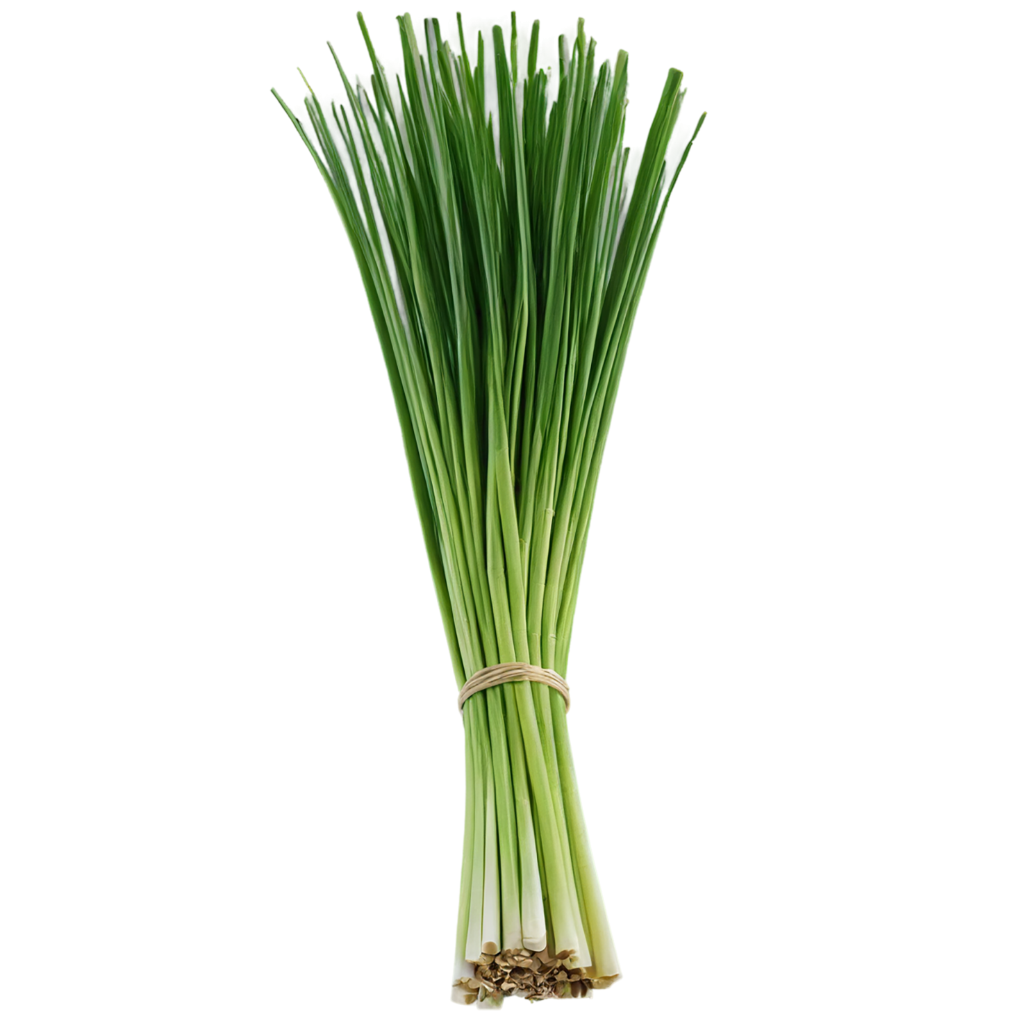 Lemongrass Herbs isolated on transparent background, #7157