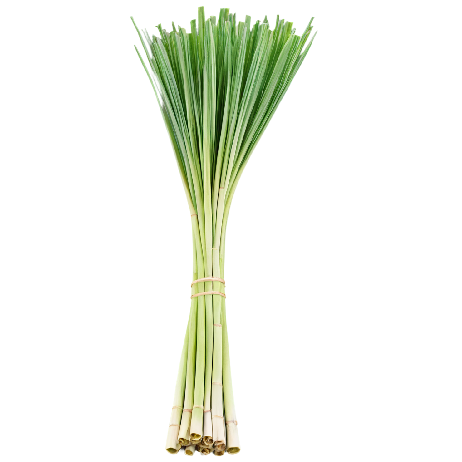 Lemongrass Herbs isolated on transparent background, #7158