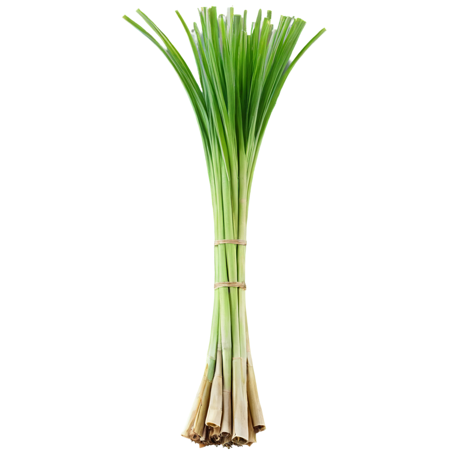 Lemongrass Herbs isolated on transparent background, #7161