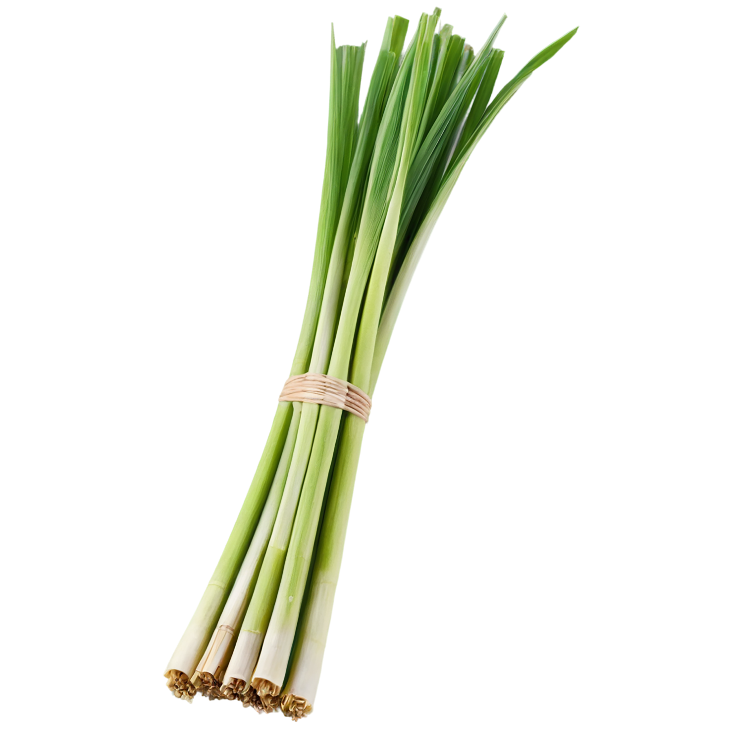 Lemongrass Herbs isolated on transparent background, #7162