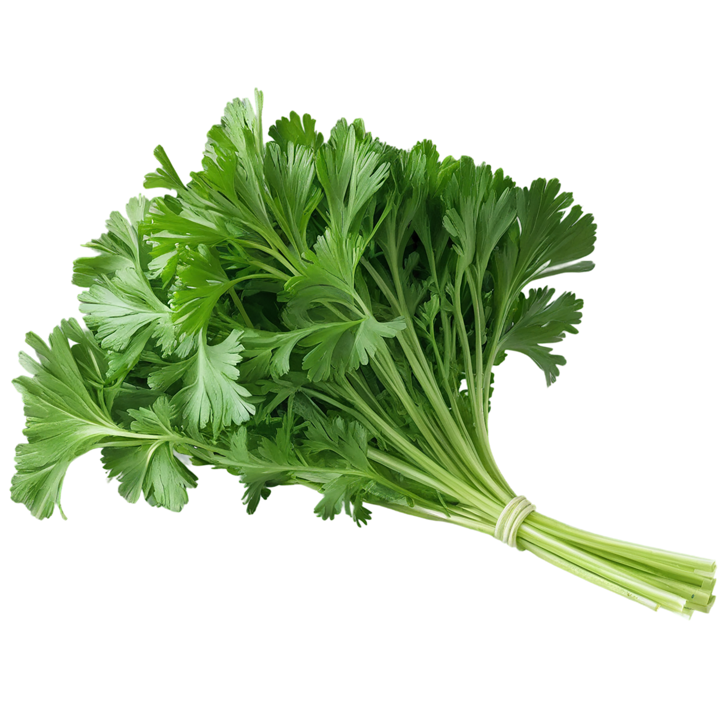 Parsley herbs isolated on transparent background, #7256