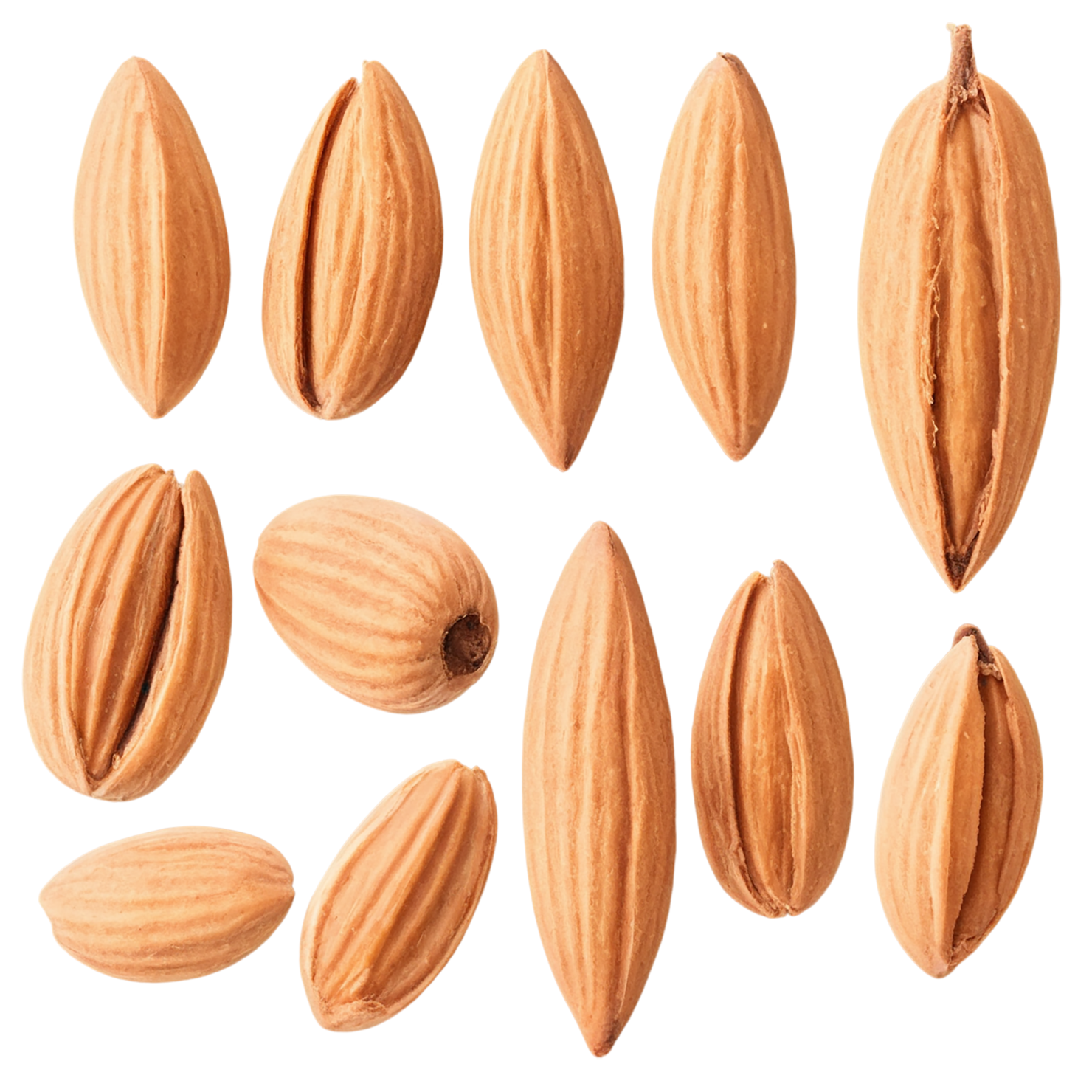 Almonds nuts isolated on transparent background, #7402
