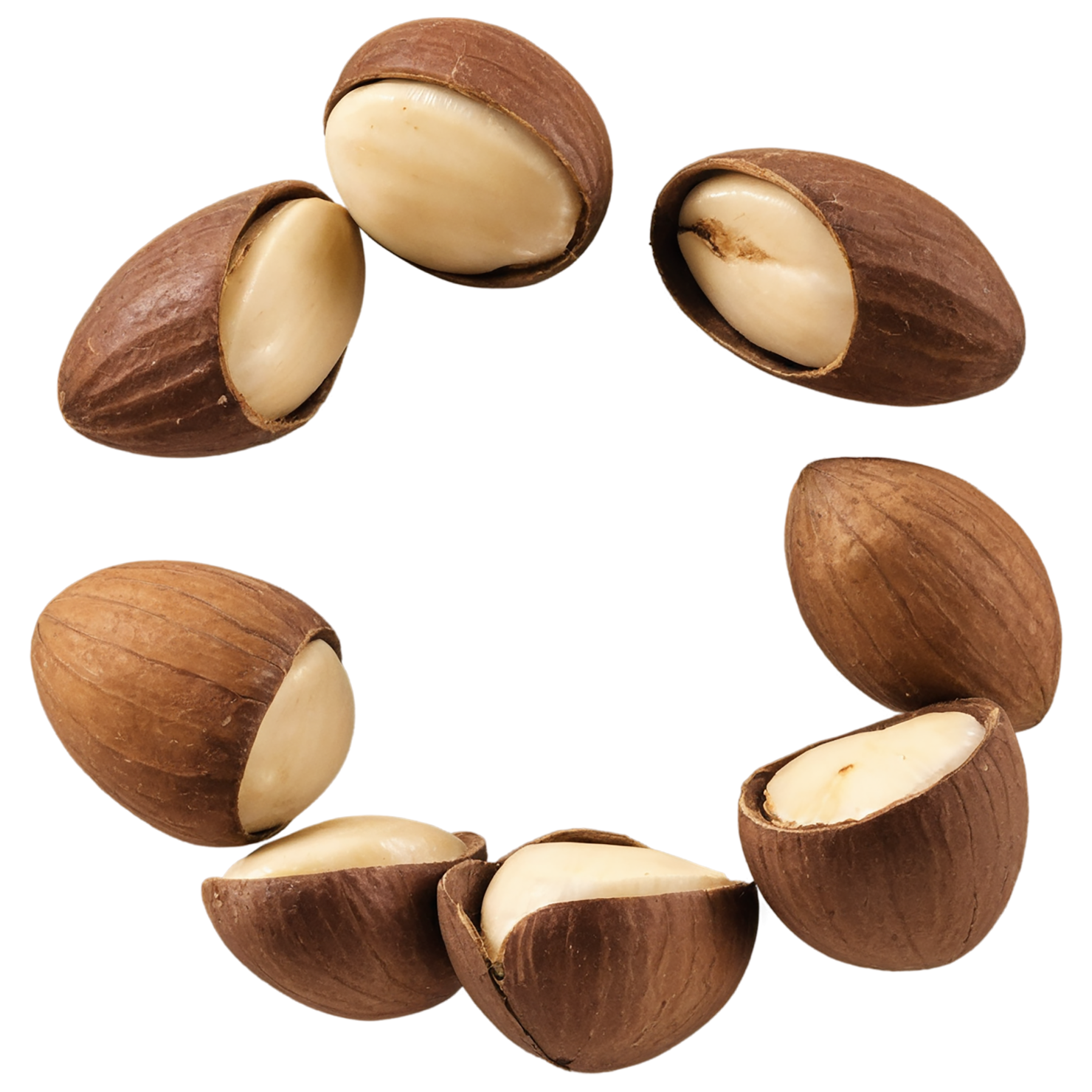 Brazil nuts isolated on transparent background, #7427