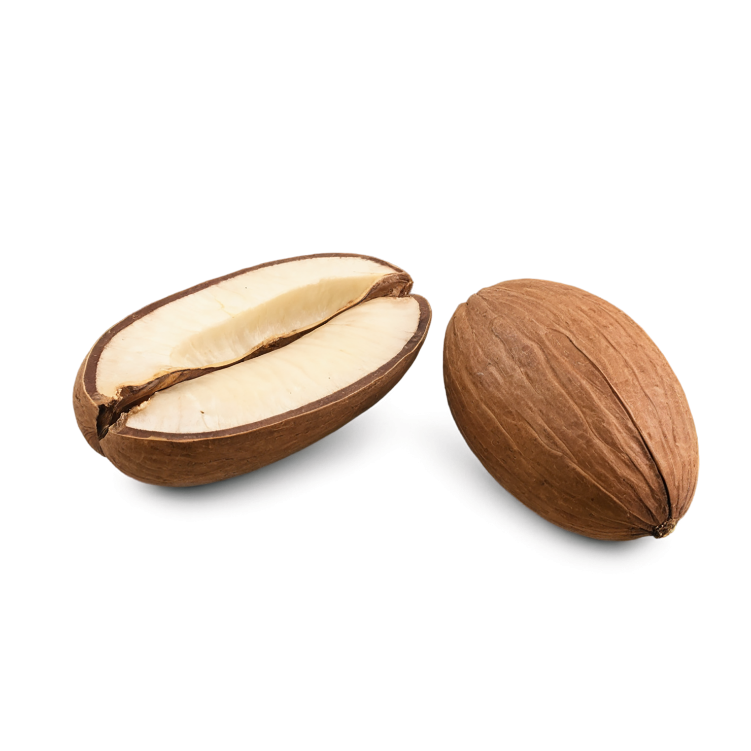 Brazil nuts isolated on transparent background, #7429