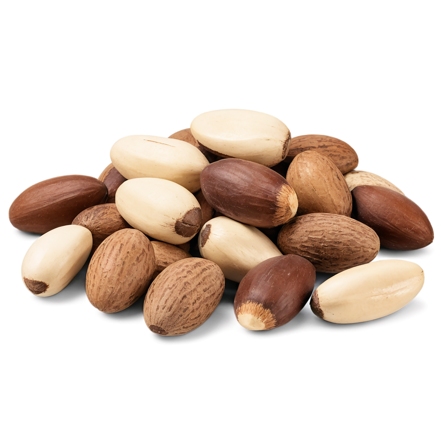 Brazil nuts isolated on transparent background, #7430