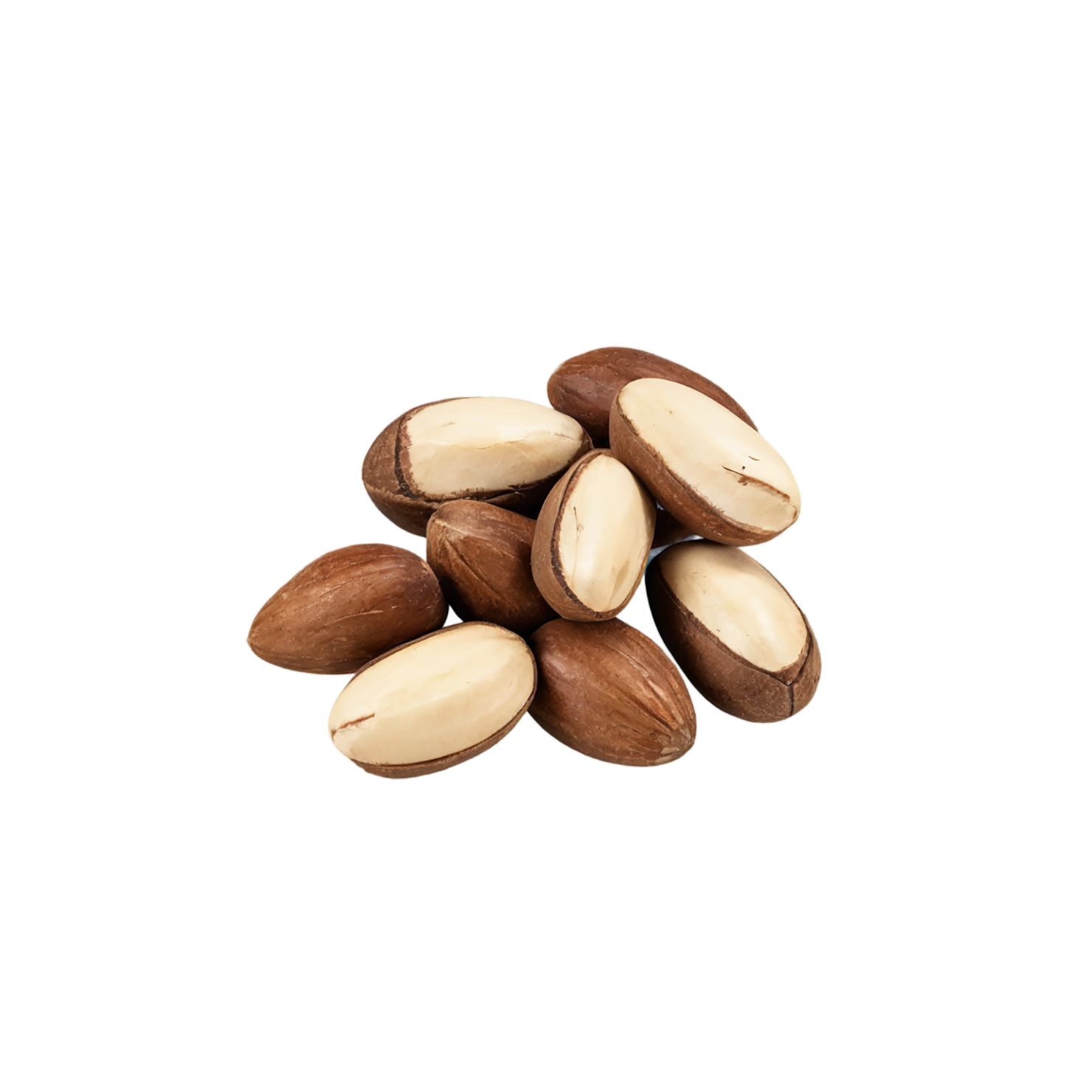 Brazil nuts isolated on transparent background, #7437