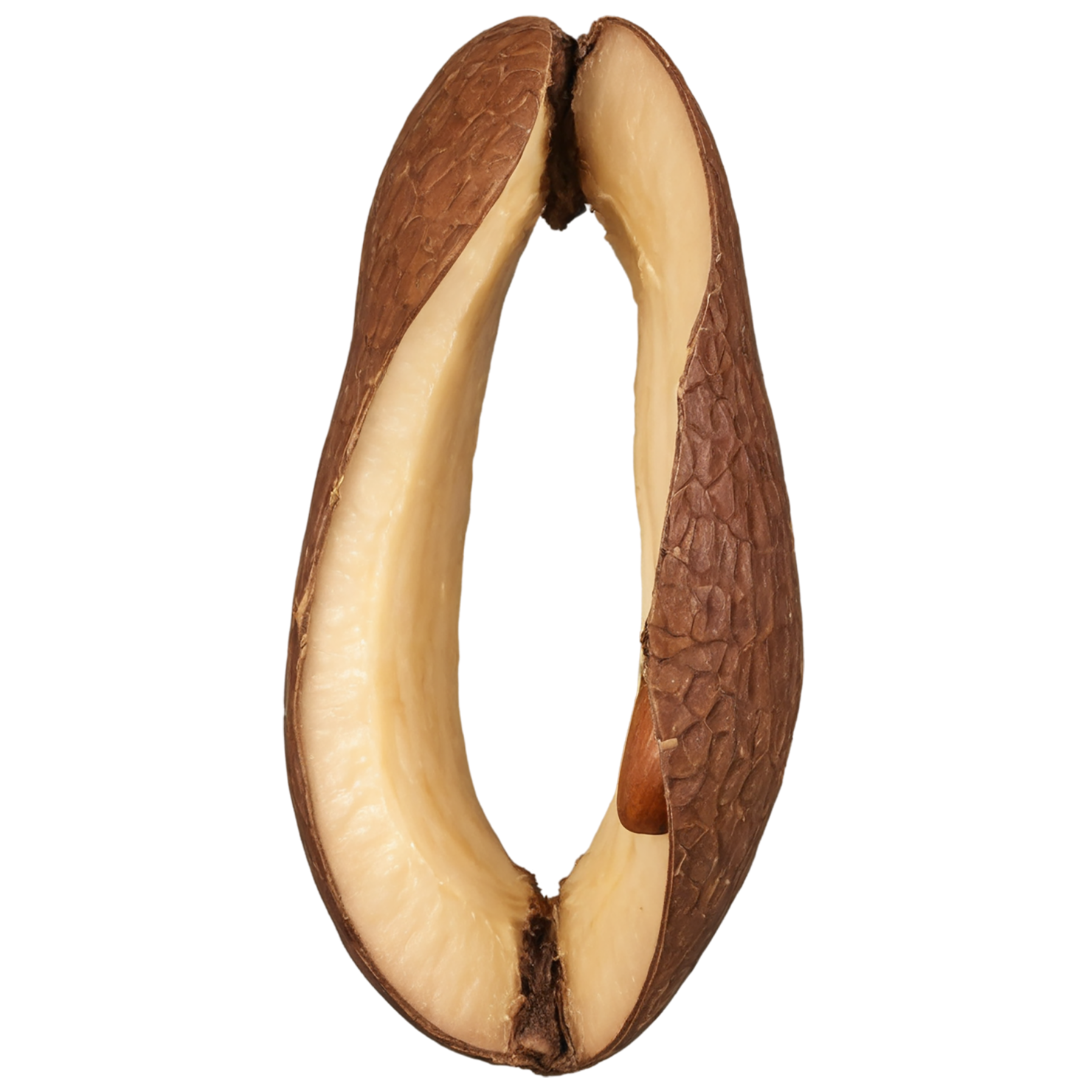 Brazil nuts isolated on transparent background, #7438