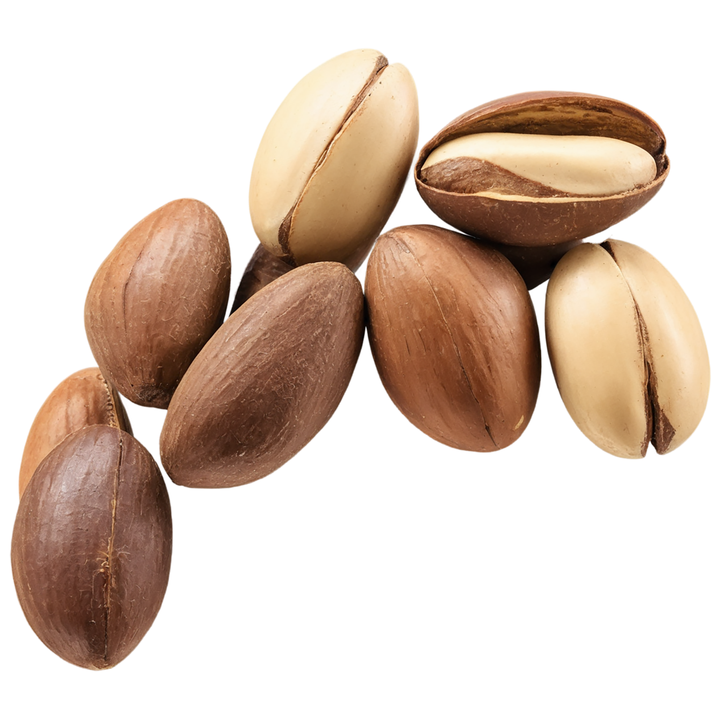 Brazil nuts isolated on transparent background, #7440