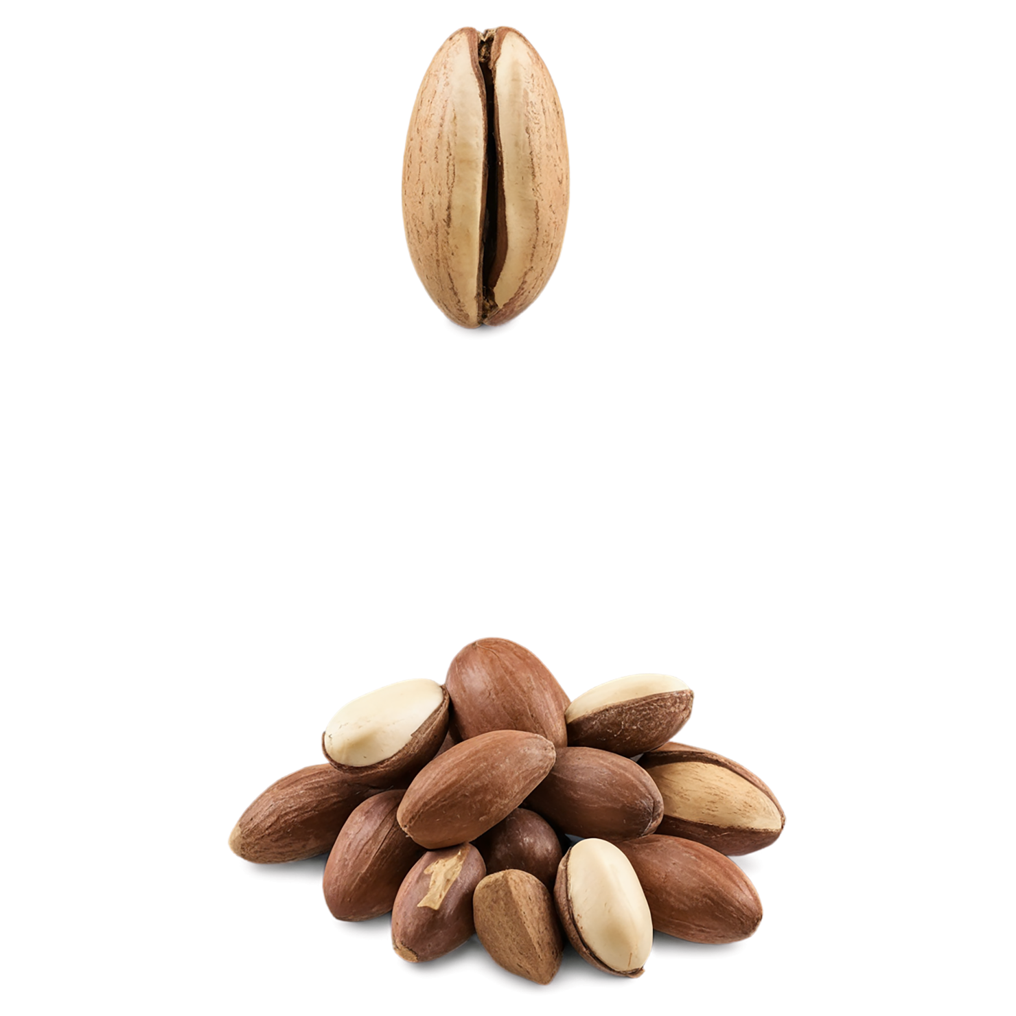 Brazil nuts isolated on transparent background, #7441