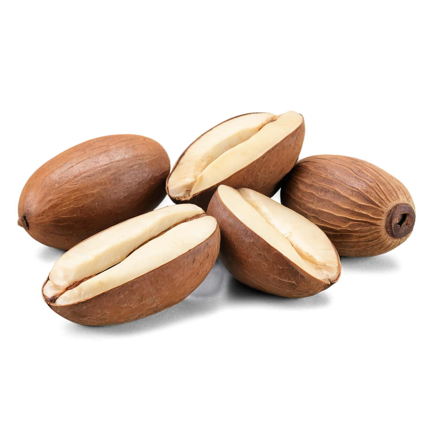 Brazil nuts isolated on transparent background, #7442
