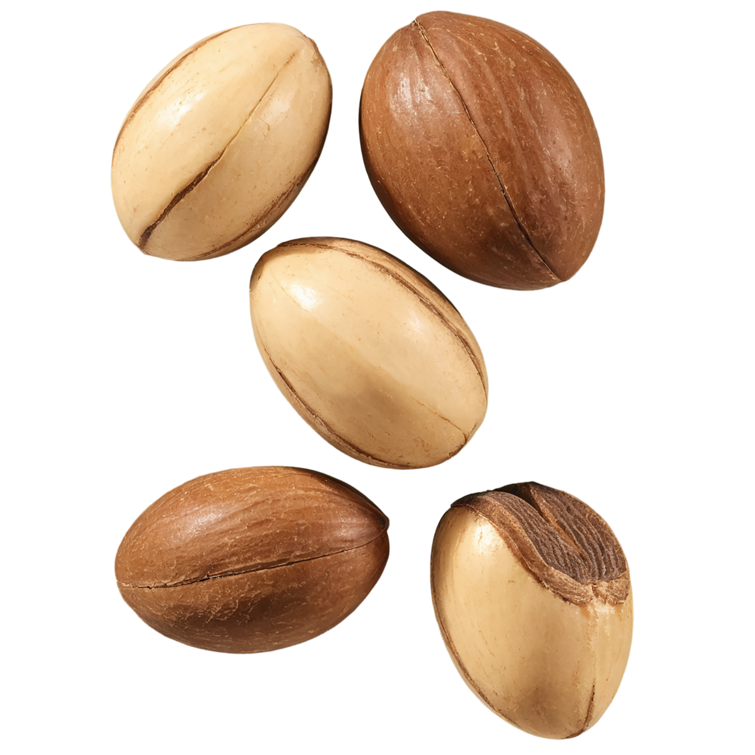 Brazil nuts isolated on transparent background, #7445