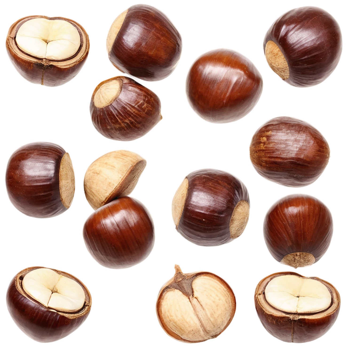 chestnuts nuts isolated on transparent background, #7474
